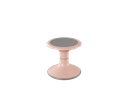 ricochet-rose-blossom-size-0300.png