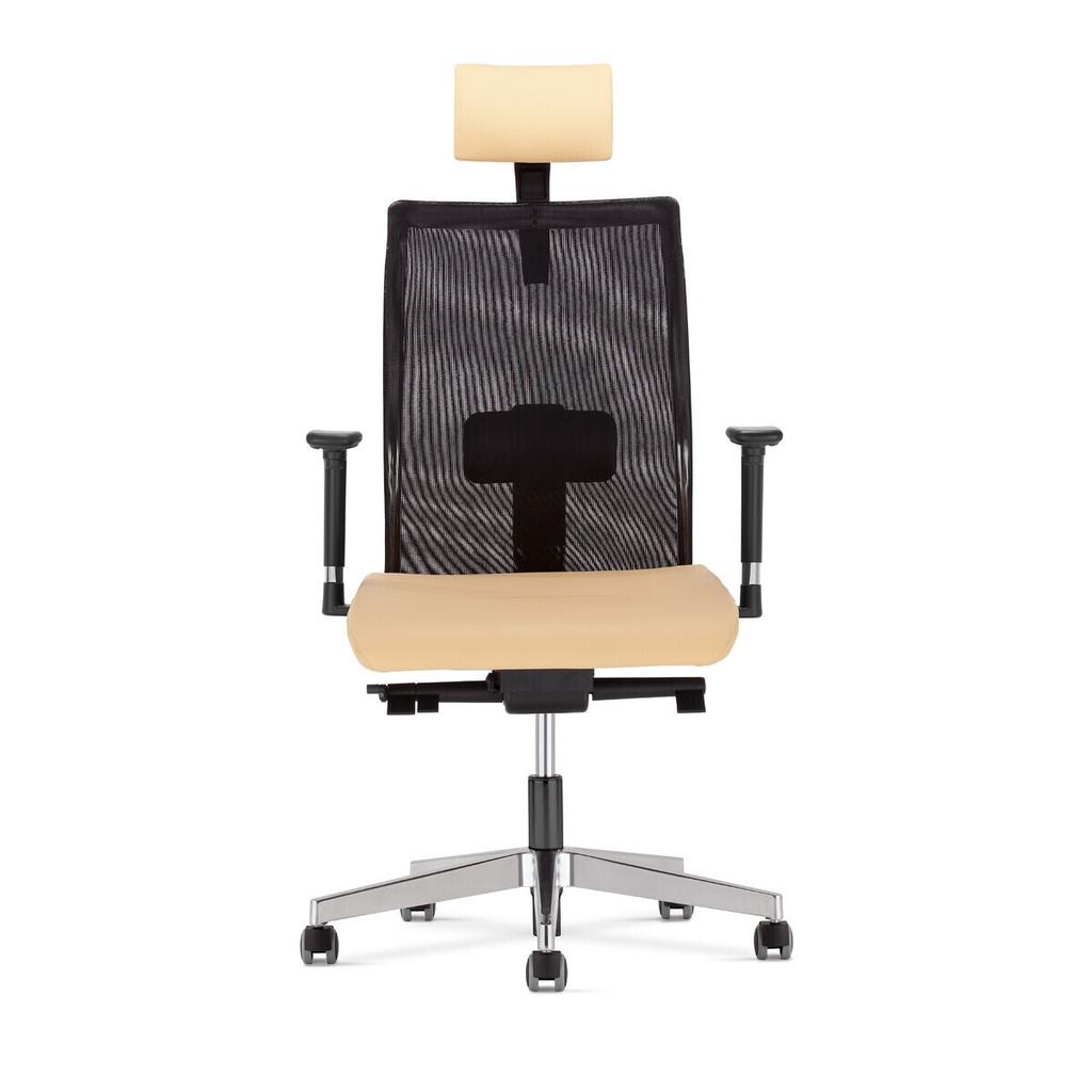 SIEGE MANAGER résille