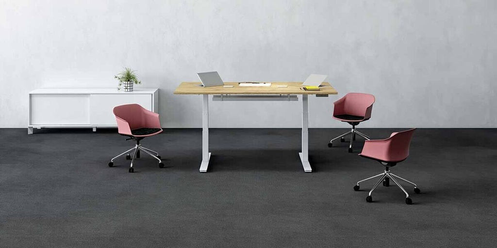 BUREAU LEXA ASSIS-DEBOUT